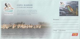 1931FM- BIRDS, PELICANS, BEE-EATER, COVER STATIONERY, 2012, ROMANIA - Pélicans