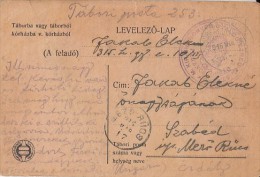 17916- WAR FIELD CORRESPONDENCE, POSTCARD, CENSORED, FROM RUSSIAN BORDER, FIELD POST NR 253, 1916, HUNGARY - Storia Postale
