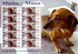 Belgien 2015 - Dackel Teckel Dachshund - Masha - MiNr 4238 - Bogen - Sonstige & Ohne Zuordnung