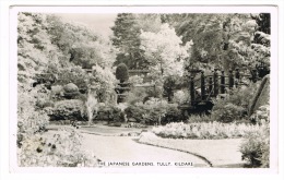 RB 1034 - 1961 Postcard - The Japanese Gardens - Tully Kildare - Ireland Eire - Kildare