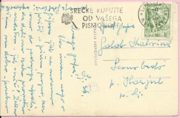 Buy Lottery Tickets From Your Postman, Ljubljana, 31.3.1956., Yugoslavia, Postcard Flower - Other & Unclassified