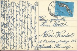 Flower Postcard, Vinkovci, 17.7.1962., Yugoslavia, Postcard - Andere & Zonder Classificatie