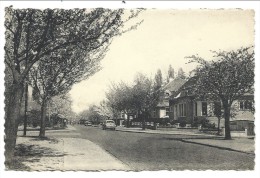 CPA - BOITSFORT - " Le Logis " - Avenue De L'Arbalete   // - Watermael-Boitsfort - Watermaal-Bosvoorde