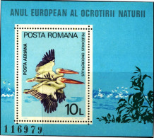 BIRDS-PELICANS-EUROPEAN NATURE PROTECTION-MS-MNH-ROMANIA-1980-B4-127 - Pelicans