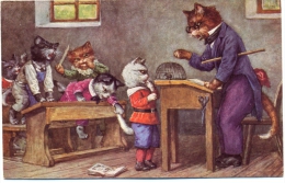 Katze, Katzen In Der Schule, Arthur Thiele, Verlag TSN Serie 1882 - Thiele, Arthur