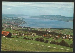 FEUSISBERG SZ Blick Auf Den Zürichsee 1971 - Feusisberg