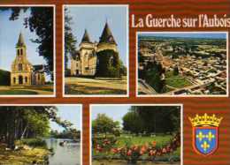 18  LA GUERCHE SUR L'AUBOIS Eglise Chateau Du Gravier Vue Aerienne Robinson Jardins De L'Hotel De Ville - La Guerche Sur L'Aubois