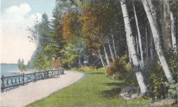 Amérique Du Nord USA NY New York Pine Hurst Road Lower Saranac Lake ADIRONDACK MTS Chemin Forêt Bois - Adirondack