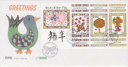 Ireland 1995 Year Of The Pig M/s FDC (F3237) - FDC