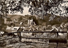 NEUERBURG-PANORAMA ( BITBURG) - Bitburg