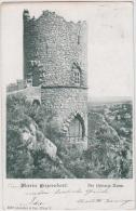 AK  - Maria Enzersdorf- Mödling - Der Schwarze Turm - 1905 - Maria Enzersdorf