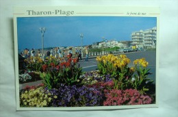 D 44 - Tharon Plage - Le Front De Mer - Tharon-Plage