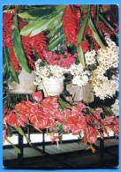 Franch West Indies - Flower Market , Marché . Antilles Francaises - Other & Unclassified