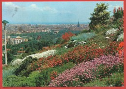 CARTOLINA NV ITALIA - TORINO - Panorama Dal Parco Europa Di Cavoretto - 10 X 15 - Parcs & Jardins