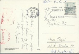 Greetings Cards Send Early , Zagreb, 21.12.1982., Yugoslavia, Postcard - Sonstige & Ohne Zuordnung