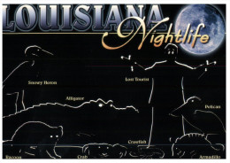 (333) Black Card - La Nuit - Carte Noire  - Louisiana Nightlife - Autres & Non Classés