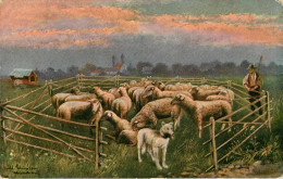 Arts - Peintures & Tableaux - Agriculture - Moutons - Chiens - Chien - Dogs - Dog - Signature A Identifier - état - Peintures & Tableaux