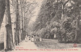 Delcampe - CPA MONTBARD 21 - L'allée Des Platanes Et à Droite Le Cabinet De Buffon - Montbard