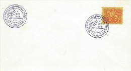 TIMBRES - STAMPS- MARCOPHILIE - PORTUGAL - II EXPOSITION INTERNATIONAL DE FILUMINISMO - CACHET  MATOSINHOS - 04-10-1969 - Postal Logo & Postmarks