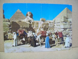 The Great Sphinx And Keops Pyramid "Gizeh" (Egitto) - Gizeh