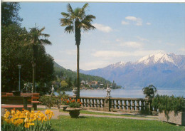 Cart332 Ticino Magadino Vira Gambarogno Passeggiata Lungolago Lago Maggiore Ed. Statua Giardino Tulipani Alfa Locarno - Gambarogno