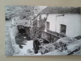 Meise Waelmolen(Meyssemolen) Schilderachtige Graanmolen Met Metalen Bovenslagrad Opname 28/10/1979 - Meise