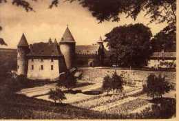 38 VIRIEU SUR BOURBRE Le Vieux Chateau Construit Vers 1010 - Virieu