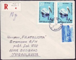 BULGARIA - BULGARIE   - BIRDS - PELICANS - 1983 - Pelikanen