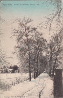 NEW YORK / WINTER LANDSCAPE - BRONX PARK - Bronx