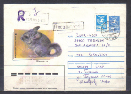 Russia Postal Stationery  Cover  WWF Chinchilla  Posted 1989 To Czechoslovakia - Brieven En Documenten