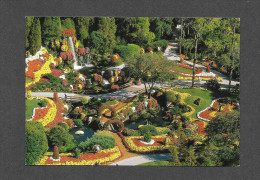 TAMPA - FLORIDA - CYPRESS GARDENS - 2,000,000 BLOOMS EXPLODE IN COLOR FOR THE ANNUAL NOVEMBER MUM FESTIVAL - Tampa