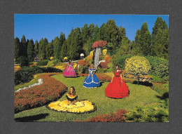 TAMPA - FLORIDA - CYPRESS GARDENS - BEAUTIFUL BELLES AND BLOSSOMS ABOUND FOR THE ANNUAL NOVEMBER MUM FESTIVAL - Tampa