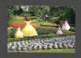 TAMPA - FLORIDA - CYPRESS GARDENS - SOUTHERN BELLES IN WAITING BABY BELLES ADD SWEET COLOR - Tampa