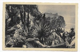 MONTE CARLO - N° 858 - LES JARDINS EXOTIQUES ET LE ROCHER DE MONACO - CARTE FORMAT CPA NON VOYAGEE - Jardín Exótico