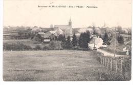 Environs De Momignies  Beauwelz  Panorama - Momignies