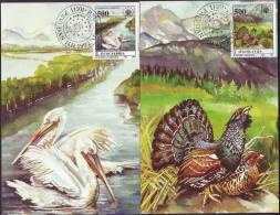 YUGOSLAVIA - JUGOSLAVIA - MAXI CARD - PROTECT NATURE - PELICANS - BLACKCOCK - 1992 - Pelícanos