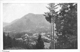 Z15377 Austria Semmering Schutzhaus Am Pinkenkogel Mountain - Semmering