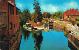 THE RIVER KENNET. NEWBURY, (Connue Pour Ses Courses De Chevaux). - Autres & Non Classés