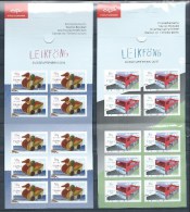 Islande 2 Carnets C1388/1389 Neufs Complets Europa 2015  Jouets Anciens - Booklets