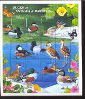 ANTIGUA & BARBUDA   1911** MINT NEVER HINGED MINI SHEET OF BIRDS ; DUCKS    ( - Zonder Classificatie