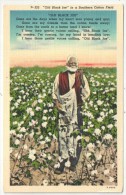 Old Black Joe In A Southern Cotton Field - Black Americana