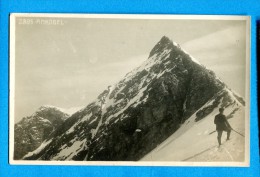 OV1.1292, Ankogel, Alpiniste, Animée Non Circulée - Mallnitz