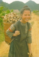 Getting Native Food - Pour Des Tubercules Sauvages - Photo By Nhiep Nhi - [Costume - Vietnam ] - Asie