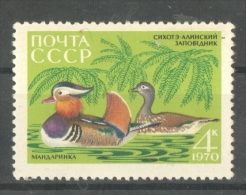 51-341 // USSR - 1970   NATURE RESERVE - *SICHOTE - ALIN*    Mi  3787** - Unused Stamps