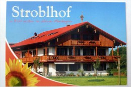 Stroblhof - Bichl - Bayern  Bad Tölz, AK Nicht Gelaufen - Bad Toelz