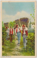 Postal Portugal - Pinhão (Alto Douro) "Jornaleiros Transportando Uvas Vindimadas"" Bringing In The Grapes"Wine Postcard - Vila Real