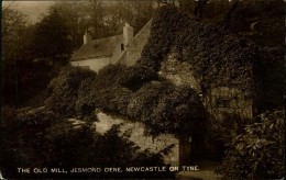 N°557 III 46 THE OLD MILL JESMOND DENE NEWCASTLE ON TYNE - Newcastle-upon-Tyne