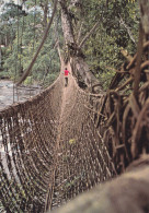 IF - Gabon - Pont De Lianes á Poubara - Gabon