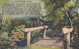 Florida Sarasota The Prayer Of The Woods Sarasota Jungle Gardens - Sarasota