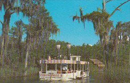 Florida Clearwater Florida's Only Glass Bottom Side Paddle Wheeled River Boat - Clearwater